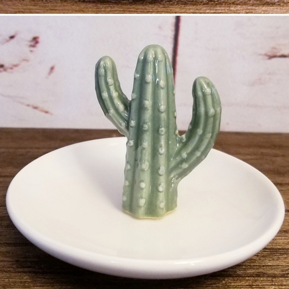Cactus Ring and Trinket Holder / Jewelry Organizer - Picture 2 of 3